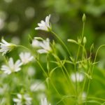 精品视频愉拍自拍第一页 1g60j0