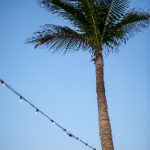 欧美色视频日本片免费 is8jn6w