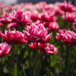 亚洲人成网站观看在线播放 j2g864