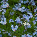 亚洲免费每日在线观看 py4f0