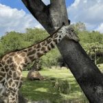 精品视频在线观免费看看 rdud2pzp