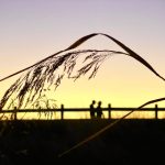 青青草国拍自产免费 sc5x8