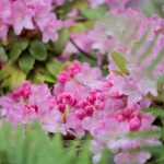 青青色无码视频在线观看 squq0