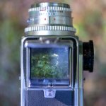 年轻人影院www xi211vf