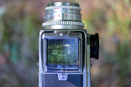 年轻人影院www 年轻人影院www