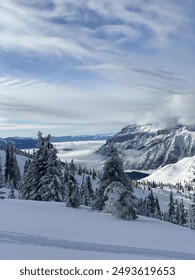 p站美国排名前十的up主:揭秘他们的创作风格与影响力 p站美国排名前十的up主:揭秘他们的创作风格与影响力