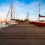 冉冉学姐:她的成长故事与学术之路 3t771