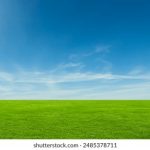 帝王计划怪兽遗产蓝光版在线观看:探索奇幻世界的冒险之旅 5zjc5qc