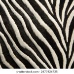 帝王计划第二季:揭开权力背后的秘密与阴谋 8h4al2222