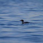 可乐影视网在线观看:畅享海量影视资源,尽在指尖轻松获取 aih5hb161