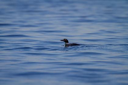 可乐影视网在线观看:畅享海量影视资源,尽在指尖轻松获取 可乐影视网在线观看:畅享海量影视资源,尽在指尖轻松获取