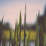 了解年龄与电视执照的关系及其影响 gn67w6q