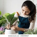 再接再厉还是励:在追求成功的道路上不断奋进的智慧与勇气 muwhsysi7