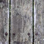 天堂漫画官网入口免费观看:畅享海量漫画资源,尽在指尖体验! nhkad