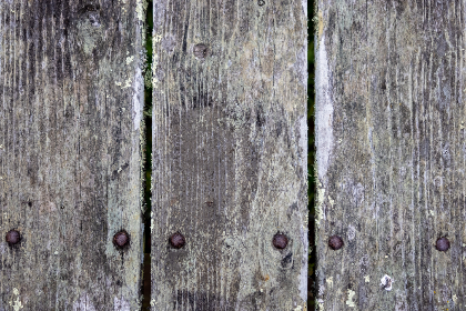 天堂漫画官网入口免费观看:畅享海量漫画资源,尽在指尖体验! 天堂漫画官网入口免费观看:畅享海量漫画资源,尽在指尖体验!