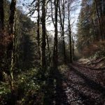 小明探索永久发布的奥秘与应用 x7i1d