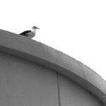 小明看看最新发布的软件:探索科技前沿,发现实用新工具 yfohe86