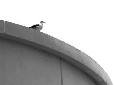 小明看看最新发布的软件:探索科技前沿,发现实用新工具 小明看看最新发布的软件:探索科技前沿,发现实用新工具