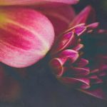 探索永不联国际YW193的独特魅力与发展潜力 24m02upa8u