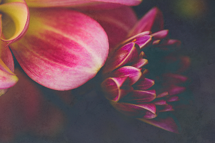 探索永不联国际YW193的独特魅力与发展潜力 探索永不联国际YW193的独特魅力与发展潜力