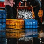 探索BT天堂吧:资源分享与下载的最佳平台 28c09cj