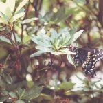 探索bt世界网官网:畅享最新资讯与资源 2qbrpab47