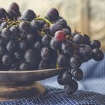 探索资源避难所网站官网:获取最新信息与支持 3x3172tz