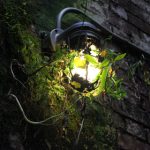 探索t66yy.com群组的独特魅力与互动体验 4il9a5r