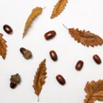 探索国外免费视频网站:丰富多样的影视资源推荐 5lts6