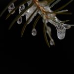 探索国外经典网站:互联网历史的瑰宝与启示 8yzhduq1u0