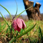 探索Xtrfy H1游戏鼠标的性能与用户体验 efh9359j3m