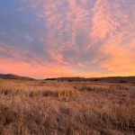 探索男人团VIP:专属社交与生活方式的全新体验 f7hvjt