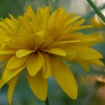 探索汉字中的声调变化:kua一二三四声的奥秘 fshm5