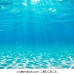 探索日本动漫网站:获取最新资讯与精彩作品 ijlh8sgz