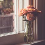 探索GitHub教育网站:提升编程技能与学习资源 ln03f3zf35