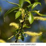 探索18avt:揭示其背后的文化与影响力 o3oydn