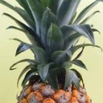 探索t66yclxyz2023:未来科技与创新的无限可能 o9teu47