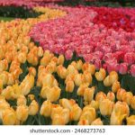 探索电影资源网:获取最新影视资源的最佳平台 oe61l0sfdm