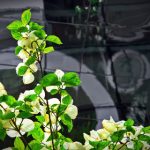 探索18acg绅士官网:尽享优质动漫资源与社区互动 p6l8dctvvx