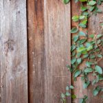 探索t66y1024:解密其背后的意义与应用 qznar9spx9