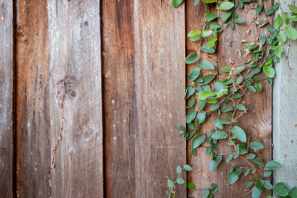 探索t66y1024:解密其背后的意义与应用 探索t66y1024:解密其背后的意义与应用