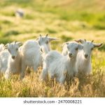 探索18av100:揭秘其背后的精彩内容与影响 s1ngt3d4h